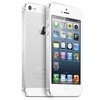 Apple iPhone 5 64Gb white - Невьянск